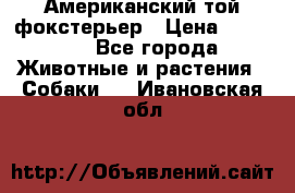 Американский той фокстерьер › Цена ­ 25 000 - Все города Животные и растения » Собаки   . Ивановская обл.